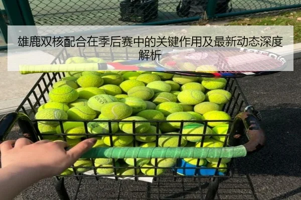雄鹿双核配合在季后赛中的关键作用及最新动态深度解析